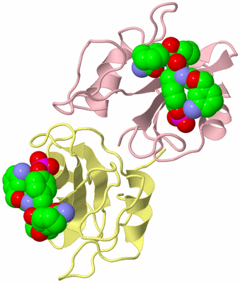 Image Biological Unit 2