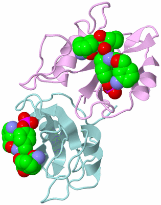 Image Biological Unit 3