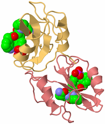 Image Biological Unit 4