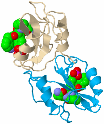 Image Biological Unit 5