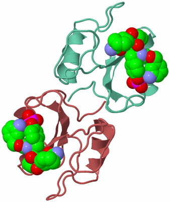 Image Biological Unit 6