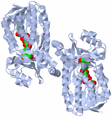 Image Biological Unit 2