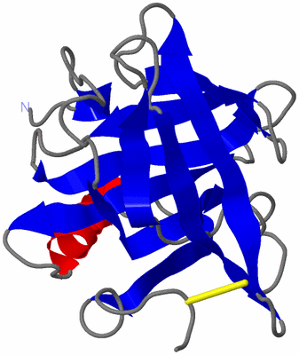 Image NMR Structure - model 1