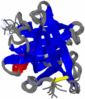 Image NMR Structure - all models