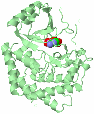 Image Biological Unit 2