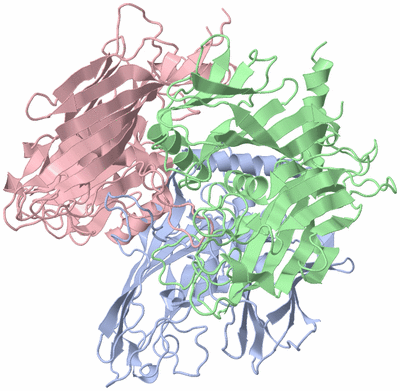 Image Asym./Biol. Unit