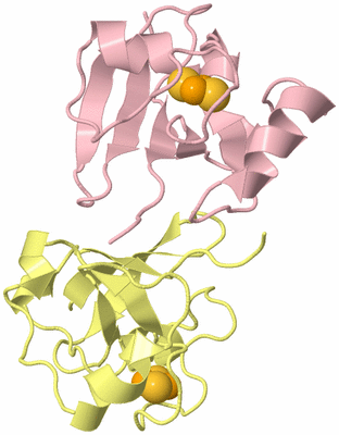 Image Biological Unit 2