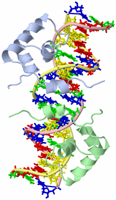 Image NMR Structure - model 1