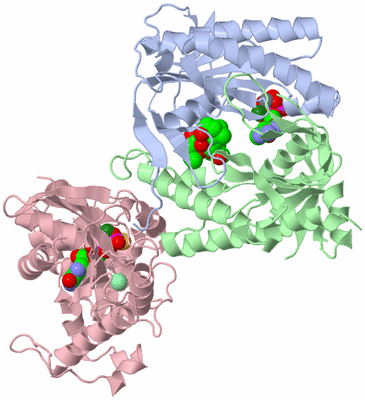 Image Asym./Biol. Unit