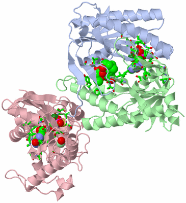 Image Asym./Biol. Unit - sites