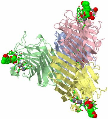 Image Asym./Biol. Unit - sites