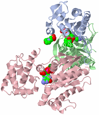 Image Asym./Biol. Unit