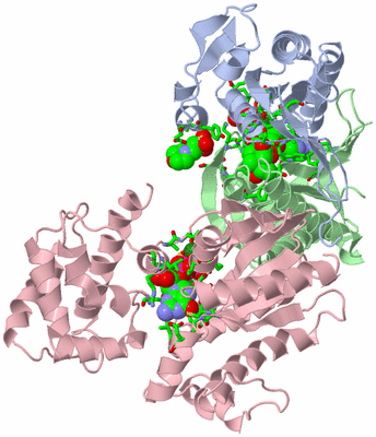 Image Asym./Biol. Unit - sites