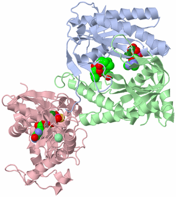 Image Asym./Biol. Unit