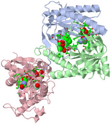 Image Asym./Biol. Unit - sites