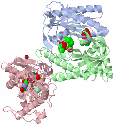 Image Asym./Biol. Unit