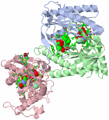 Image Asym./Biol. Unit - sites