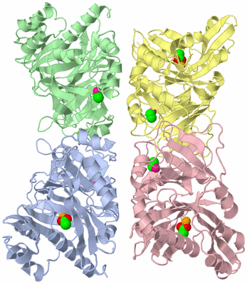 Image Asym./Biol. Unit