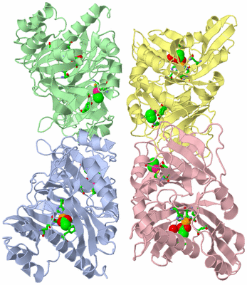 Image Asym./Biol. Unit - sites