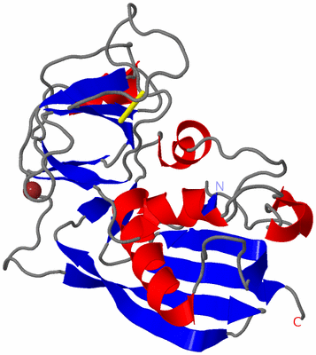 Image Asymmetric Unit