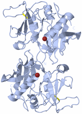 Image Biological Unit 1
