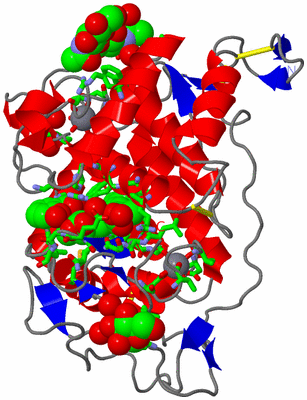 Image Asym./Biol. Unit - sites