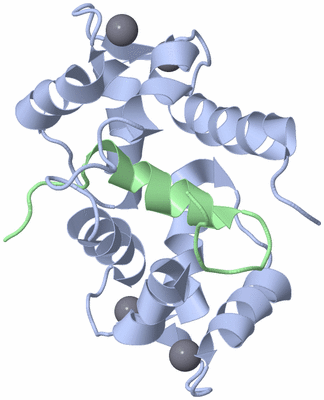 Image NMR Structure - model 1
