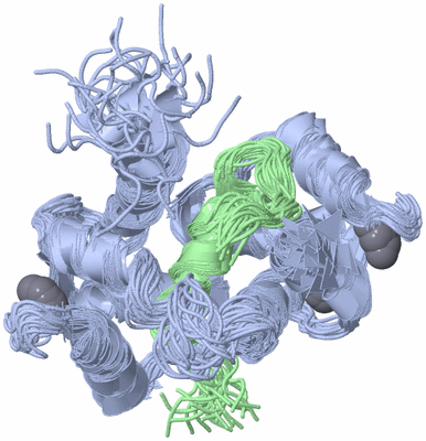 Image NMR Structure - all models