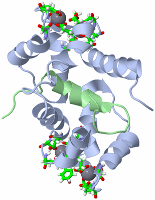 Image NMR Structure - model 1, sites