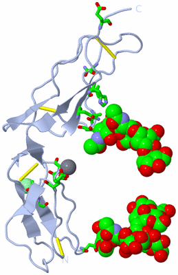 Image Biol. Unit 1 - sites