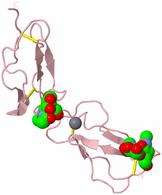 Image Biological Unit 3