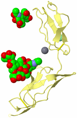 Image Biological Unit 4