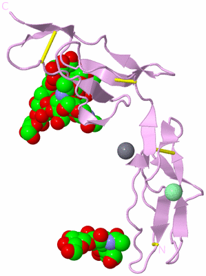 Image Biological Unit 5