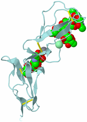 Image Biological Unit 6