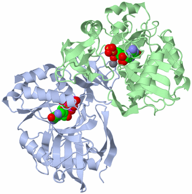 Image Biological Unit 3