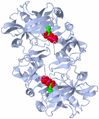 Image Biological Unit 4