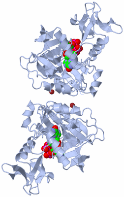 Image Biological Unit 2