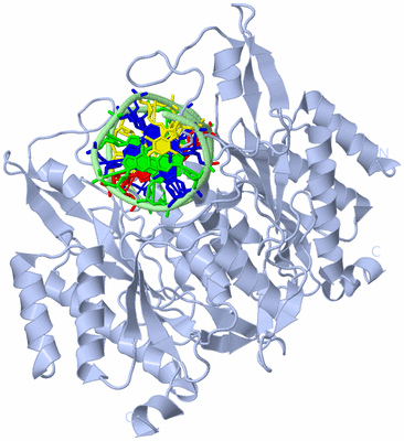 Image Biological Unit 1