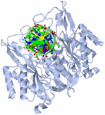 Image Biol. Unit 1 - sites