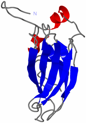 Image NMR Structure - model 1