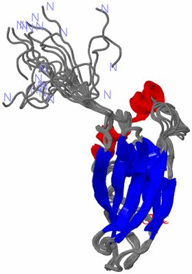 Image NMR Structure - all models