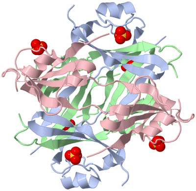 Image Biological Unit 1