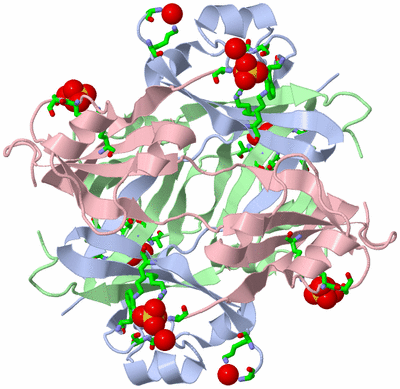 Image Biol. Unit 1 - sites