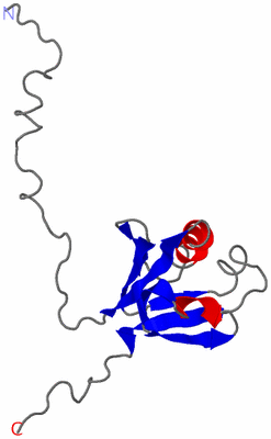 Image NMR Structure - model 1