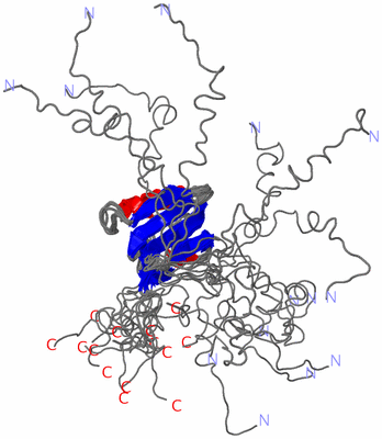 Image NMR Structure - all models