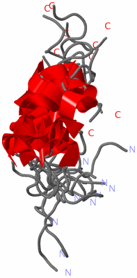 Image NMR Structure - all models