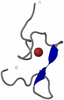 Image NMR Structure - model 1