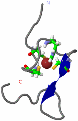 Image NMR Structure - model 1, sites