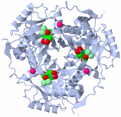 Image Biological Unit 1