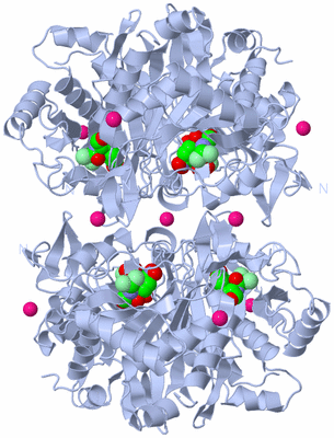 Image Biological Unit 2